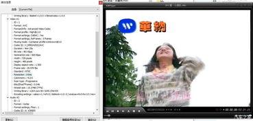 你懂的在线视频福利,独家内容等你来探索