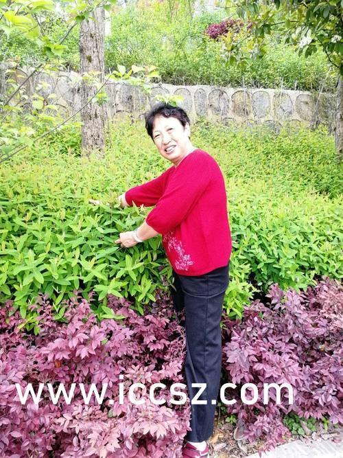 国语自产拍福利在线观看,在线观看，畅享视听盛宴