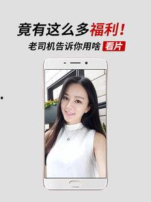 老司机福利在线图,在线图解带你畅游车友世界