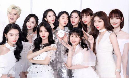 偶偶福利草民社在线,揭秘神秘社区，共享快乐时光