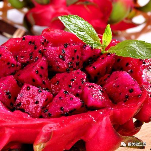 火龙果福利在线视频,揭秘火龙果产业的魅力与机遇