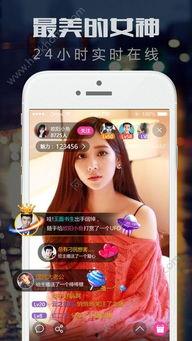 重磅福利果哥筱慧在线,重磅福利来袭！果哥筱慧带你探索无限惊喜