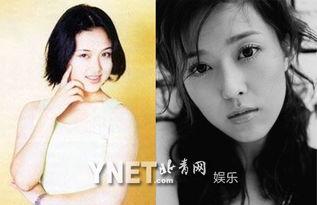 AI换脸颜丹晨福利在线,福利在线演绎视觉盛宴